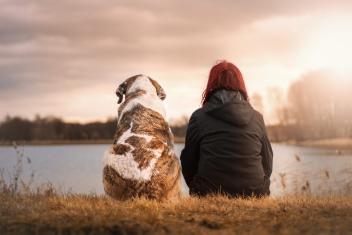 Finding the Right Dog Insurance Plan for Your Furry Friend